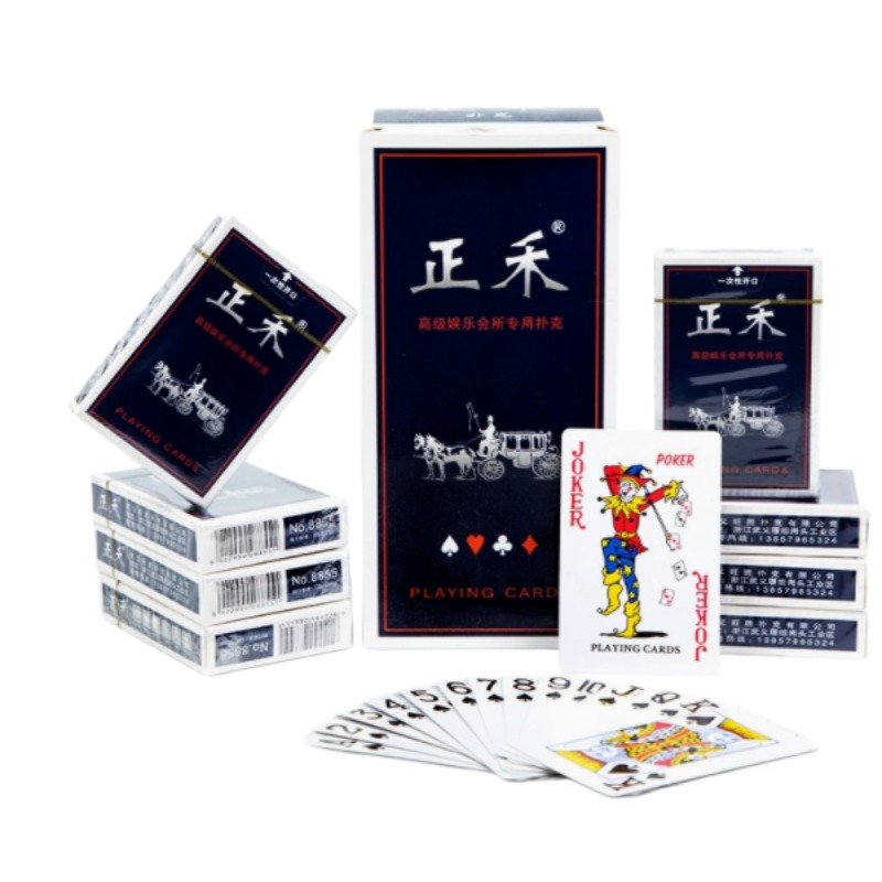 Book Party Games - Set di Carte da Gioco Opache